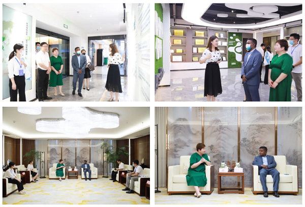 African envoys in South Africa meet with SA Global senior leaders