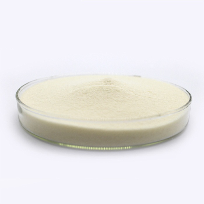 Pectin CAS 9000-69-5