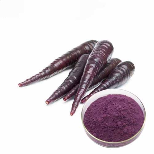 Black Carrot Purple CAS 7235-40-7